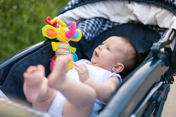 Anne ve babasıyla bebek arabasında yürüyüşe çıkmış küçük bir çocuk.