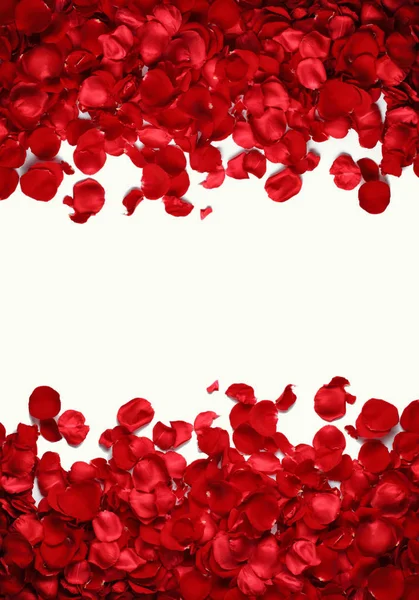 Red Rose Petals White Background — Stock Photo, Image