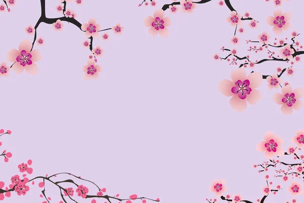 Zweig Rosa Sakura Isoliert Auf Violettem Hintergrund — Stockfoto
