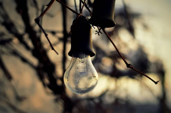 Old Light Bulb Hanging Street Sunset Background Evening — 图库照片