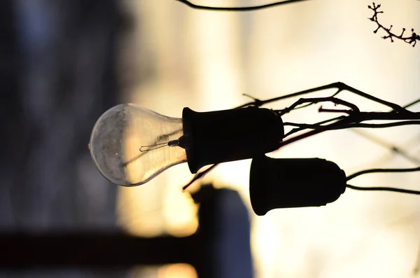 Old Light Bulb Hanging Street Sunset Background Evening — ストック写真