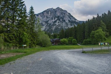 peyzaj, orman ve Avrupa dağı