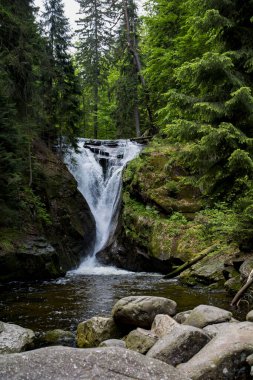  Ormandaki yeşil şelale