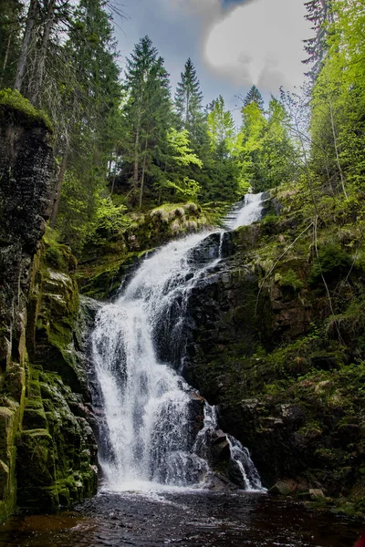 the green waterfall in forest
