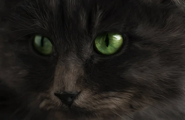 黑且毛茸茸的猫 绿眼睛 闭着眼睛 — 图库照片