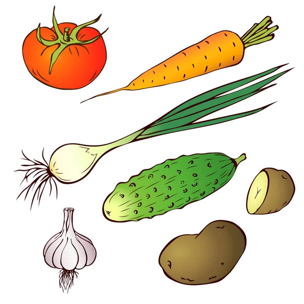 Vecteur dessiné à la main réaliste légumes de la ferme mis isolé sur fond blanc. Tomate, carotte, concombre, pomme de terre. collection d'icônes légumes colorés. croquis vintage vert pour logo, marché, design d'emballage — Image vectorielle