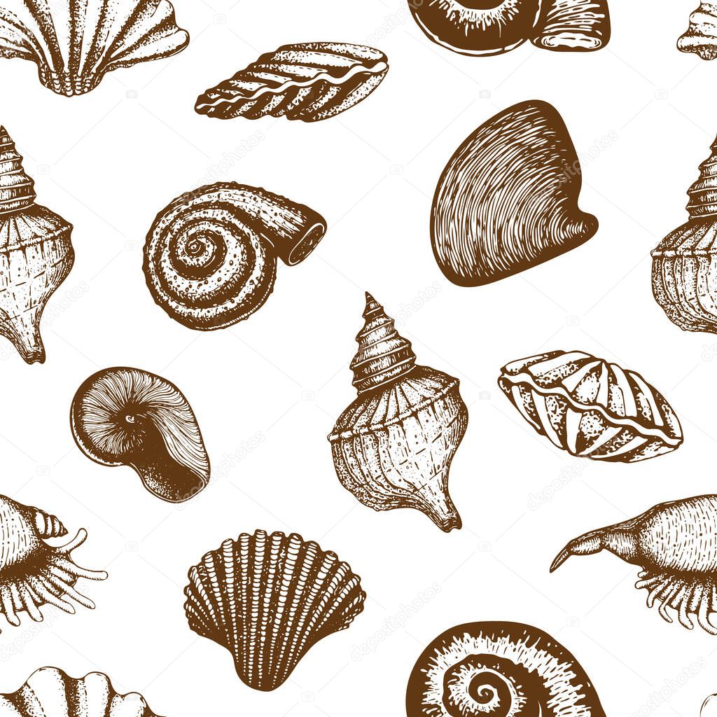 vector seamless seashell pattern isolated on white. vintage Hand drawn background of various beautiful engraved mollusk marine shells. Realistic sketch of cockleshell like conch, oyster, clam, scallop