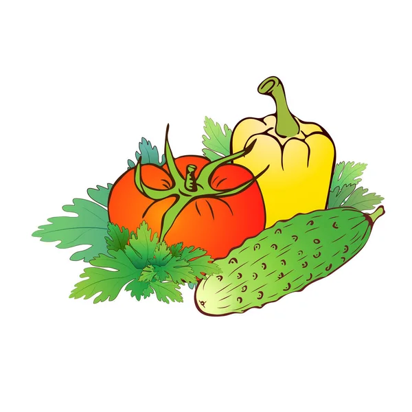 Vector hand drawn realistic farm vegetables composition isolated on white. Tomato, bell pepper, cucumber with parsley. colorful veggies icon collection. vintage greens sketch for logo, market, package — Stock Vector