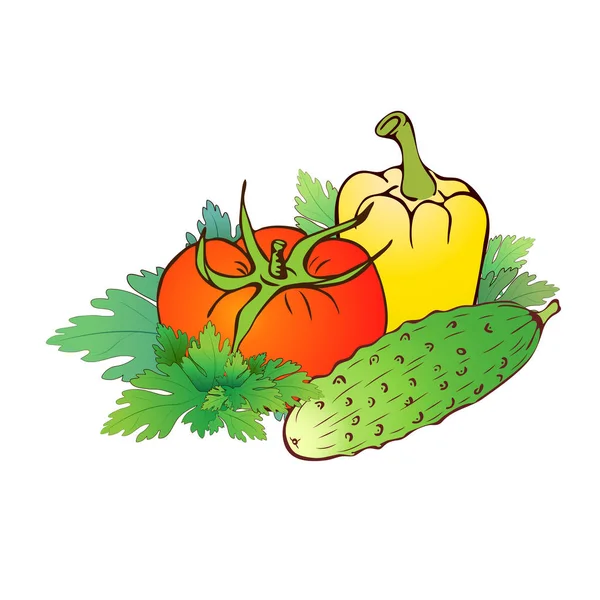 El yapımı gerçekçi çiftlik sebzeleri beyaza izole edilmiş. Domates, dolmalık biber, maydanozlu salatalık. Renkli sebze ikonu koleksiyonu. Logo, pazar ve paket için klasik yeşiller çizimi. — Stok fotoğraf