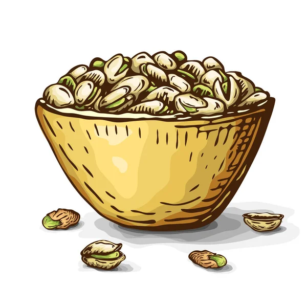 Hand drawn illustration of pistachio nuts in bowl isolated on white. vector engraved nuts drawing in vintage style. open pistachios, nutshell and pile of nuts on plate. healthy snack, beer appetizer — Stock Vector