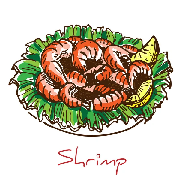 Gambas cocidas a mano o camarones con lechuga y rodajas de limón aisladas sobre fondo blanco. Dibujo colorido de mariscos. rey Camarones servidos en plato blanco.Sabroso montón de gambas fritas . — Vector de stock