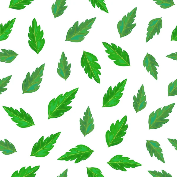 Nahtlose grüne Tomatenblätter Muster isoliert auf weiß. Grün hinterlässt endlosen Hintergrund. Vektorillustration eines Blattwerks in realistischem Stil. Hintergrund für Öko, Land, Sommer frisches Design. — Stockvektor
