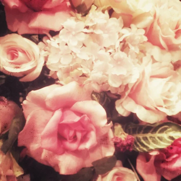 Fleur fack rose, stye vintage — Photo