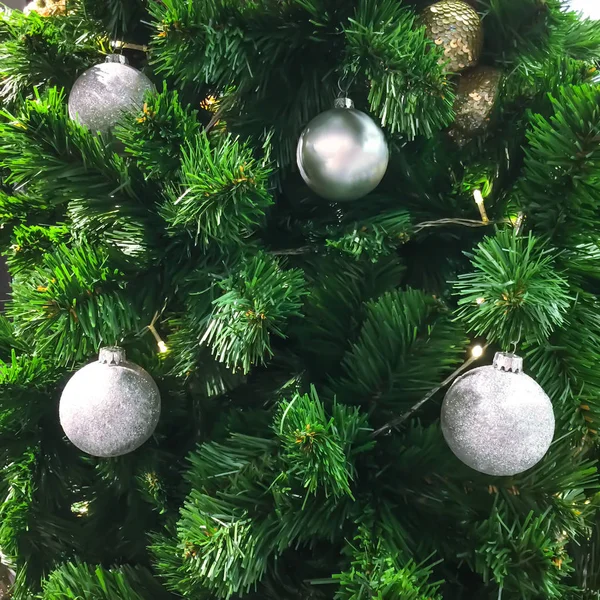 Zilveren kerstbal op dennenboom — Stockfoto