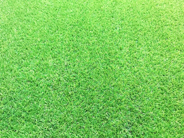 Textura de grama artificial verde para fundo e espaço vazio — Fotografia de Stock