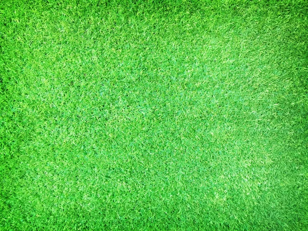 Green artificial grass texture or background and empty space — Stock Photo, Image