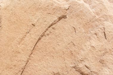 Kahverengi taş zemin veya doku ve boş yer