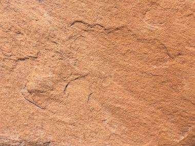 Sarı kahverengi taş zemin veya doku ve boş yer