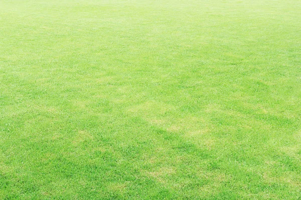 Yeşil suni çim doku ya da arka plan ve boş yer