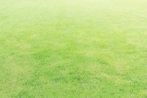 Grüne Textur für frisches Gras oder Hintergrund für Ihren desig, weichen Fokus — Stockfoto