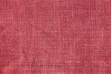 Kırmızı ışık tutuyordu doku Noel arka plan.