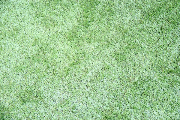 Green Artificial Grass Texture Background Empty Space — Stock Photo, Image