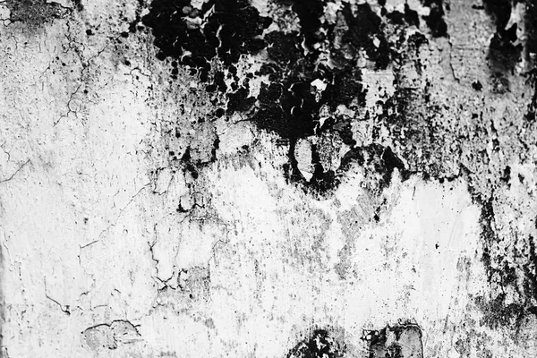 Grunge Preto Branco Abstrato Fundo Textura — Fotografia de Stock