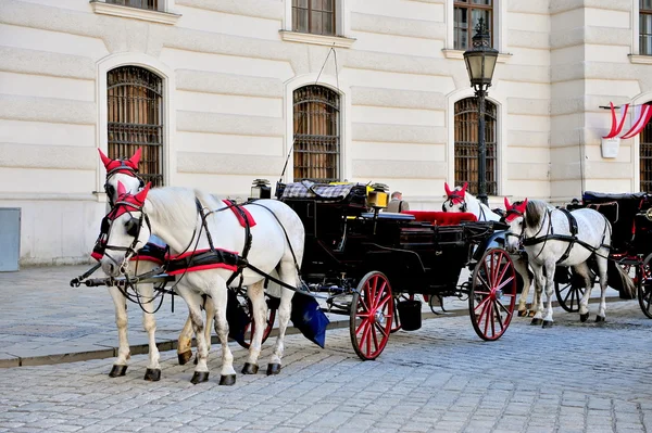 Two horses carriage in Hofburg — Stock Photo, Image