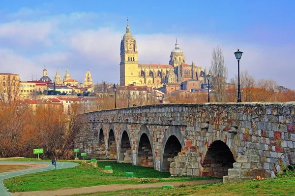 Salamanca Köprüsü ve Katedrali — Stok fotoğraf