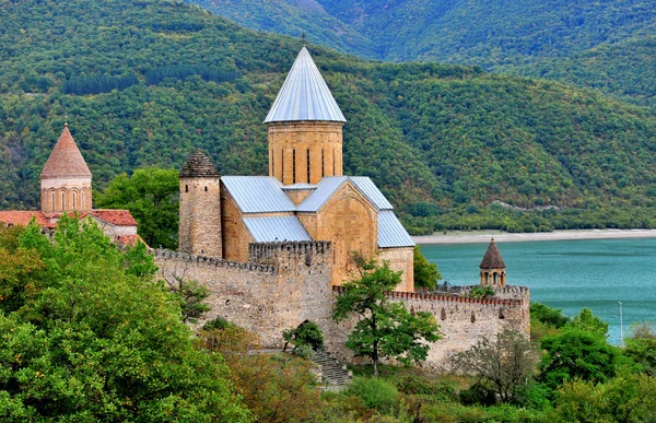 Panorama della chiesa e fortezza di Ananuri — Foto Stock