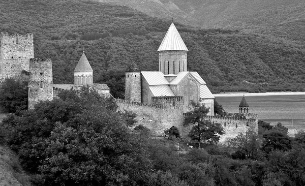 Monocromo fotografía del monasterio de Ananuri — Foto de Stock