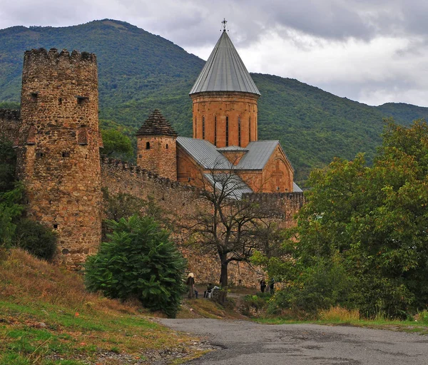 Старая крепость и церковь Ананури в Грузии — стоковое фото