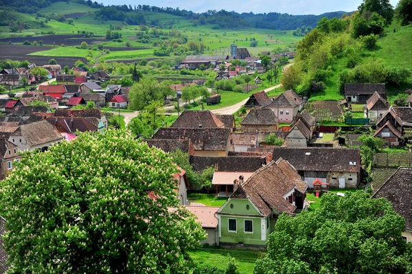 Casas na cidade típica da Transilvânia — Fotografia de Stock