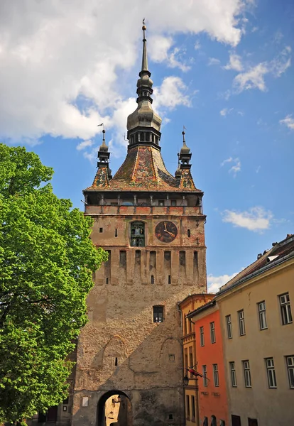 Summer view of a tower in Sighisoara — Stock Photo, Image
