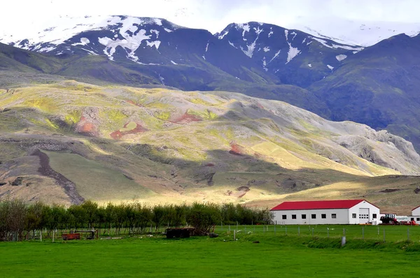 在山的冰岛农场 — 图库照片