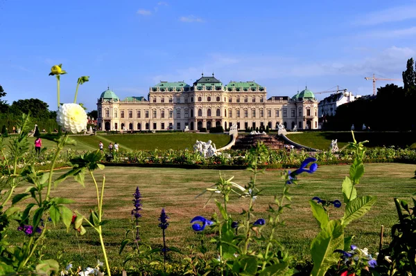 Summer view of Belvedere palace — Stock Photo, Image