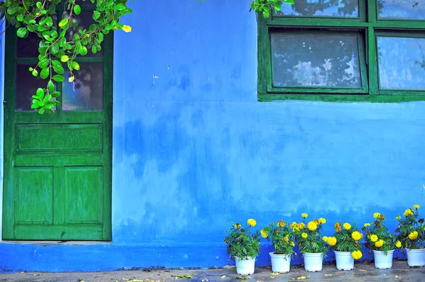 Casa de campo com porta verde e janela — Fotografia de Stock