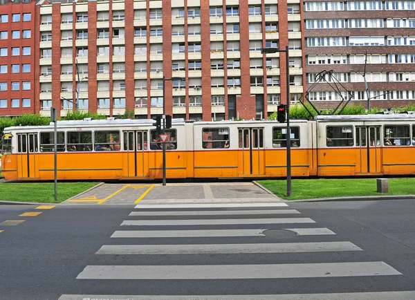 Желтый трамвай на улице Будапешта, Венгрия — стоковое фото