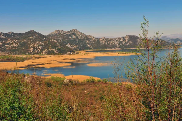 Letní pohled na národní park Skadarské jezero — Stock fotografie