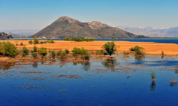 Úžasný pohled Skadarské jezero v Černé hoře — Stock fotografie