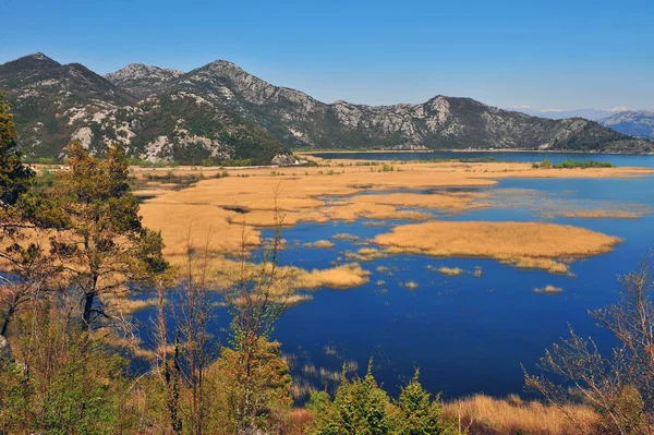 Skadarské jezero na léto, přírodní krajina — Stock fotografie