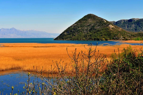 Prachtige landschap van waterlink lake in Montenegro — Stockfoto