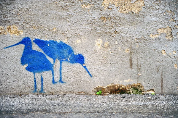 Afbeelding met twee blauwe vogels op de muur — Stockfoto