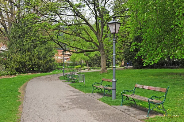 Vista de verano del jardín público — Foto de Stock