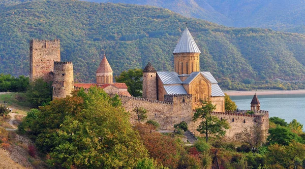 Panoramatický pohled na Ananuri kostel a hrad — Stock fotografie