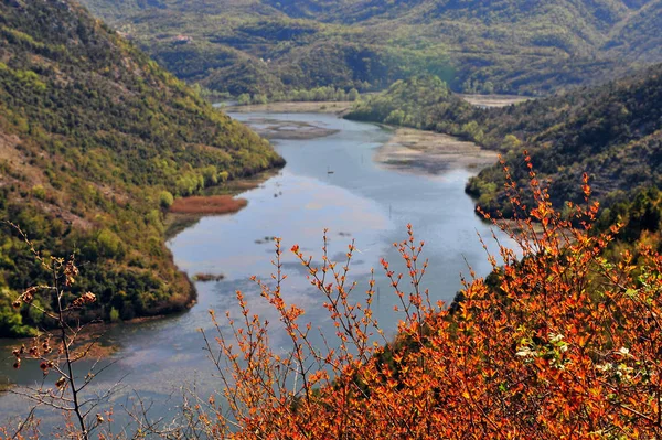 Mooie rivier in Bergen — Stockfoto