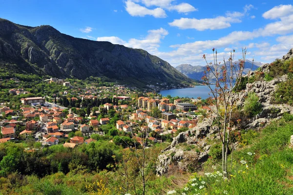 Vackra dalen i bergen — Stockfoto