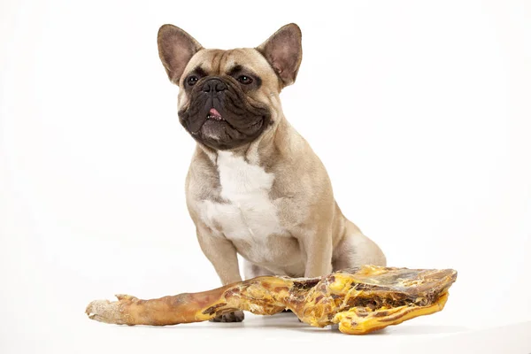 Fransız buldozer et ile birlikte oturan