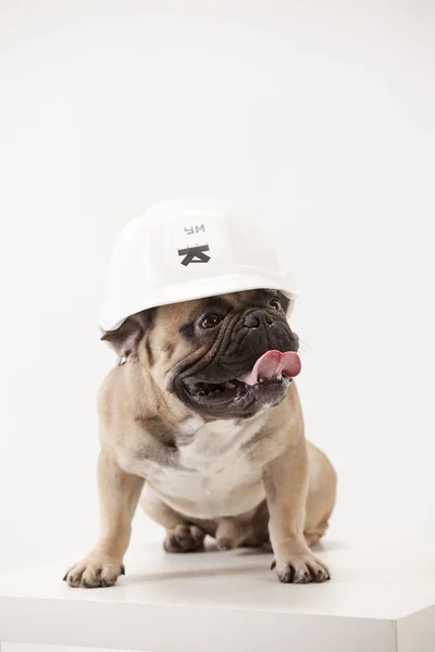 Kask içinde Fransız buldozer