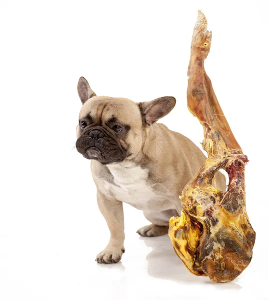 Fransız buldozer does't göz et